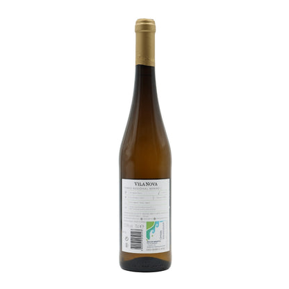 Vila Nova Sauvignon Blanc Branco 2023