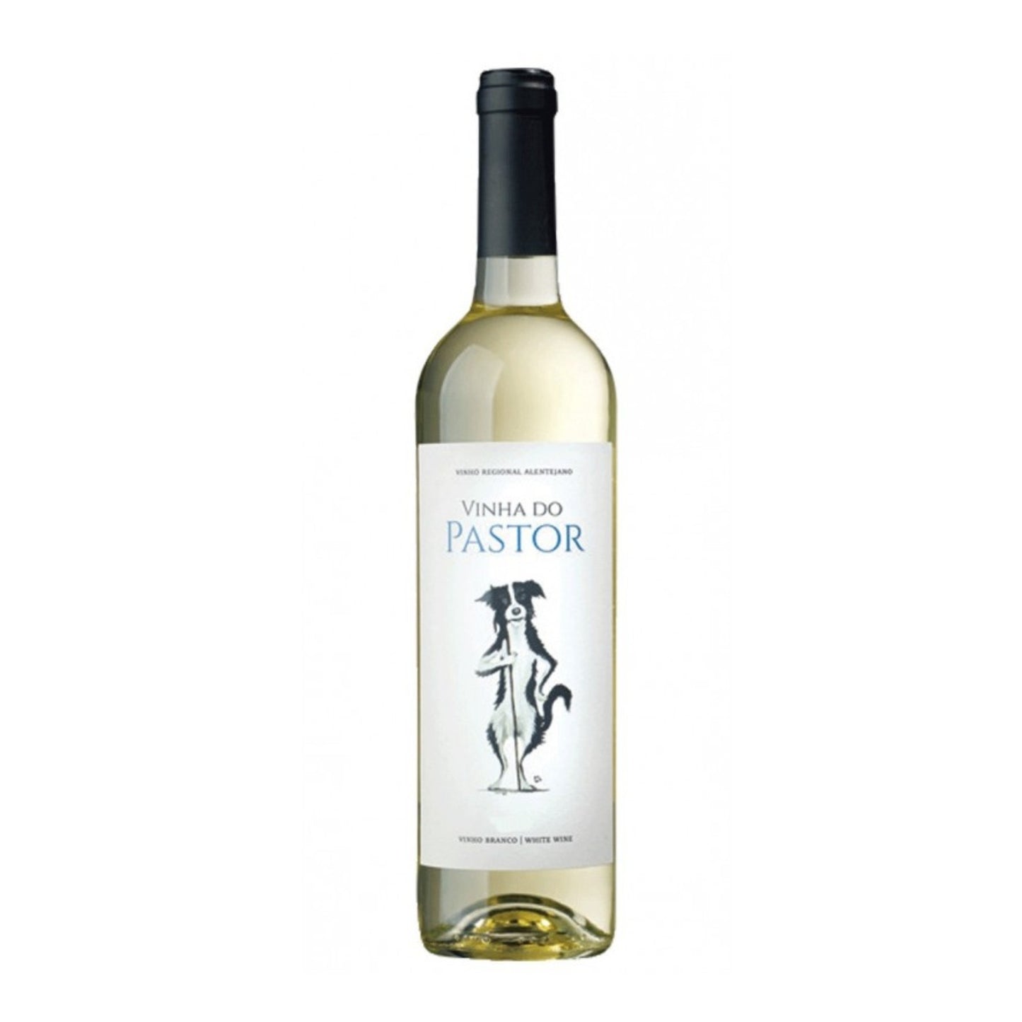 White Shepherd Vineyard 2022